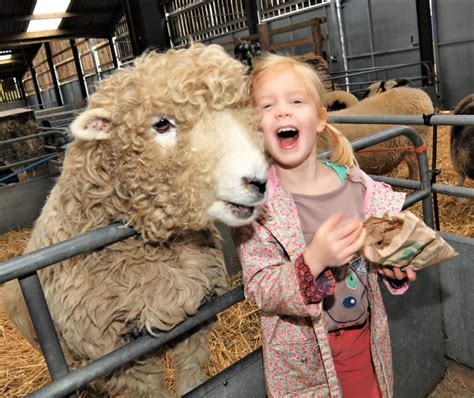 Odds Farm Park (High Wycombe) .